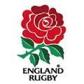 logo twickenham